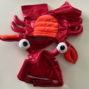 Small dog lobster costume
